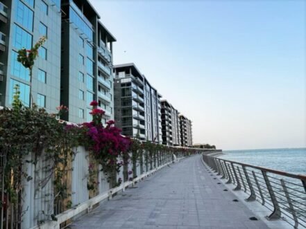 Luxurious Modern Seaview Apartment for rent in Reef Island